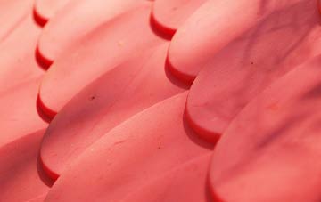 Haigh plastic roof costs