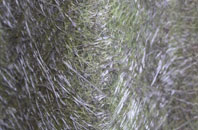 Haigh fibreglass roof work